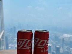 -平安金融中心云际观光层