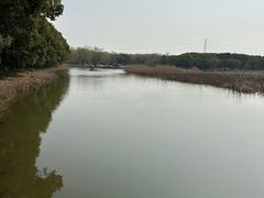 -同里国家湿地公园