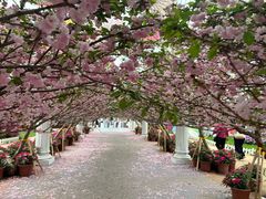 -广东花都香草世界旅游度假区