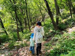 -大连天门山国家森林公园