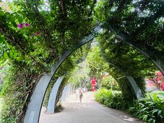 -布里斯班南岸公园