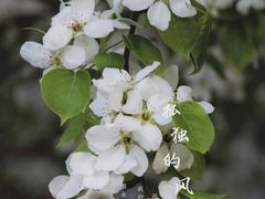 -长春公园(普阳街道)