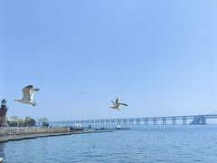 -星海湾跨海大桥