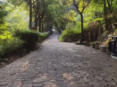 -周洛大峡谷