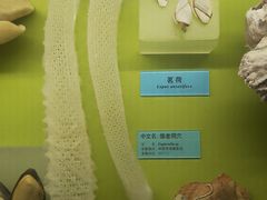 -天津自然博物馆