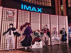 -CGV影城(壹方城IMAX店)