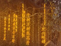 -威高广场
