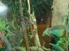 -可伦宾野生动物保护区