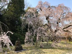 -醍醐寺