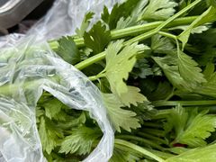 -大自然农场蔬菜草莓采摘园