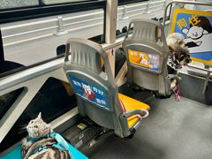 -帕帕拉兹宠物(亚洲旗舰店)