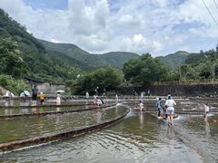 -芦茨金富饭庄·25年老字号·专做稻草鸡