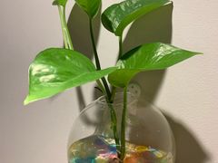 -Primo·丽莫意大利窑烤披萨