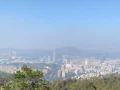 -板樟山森林公园