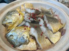 -1937青岛老味道·海肠捞饭·青岛菜(大鲍岛栈桥店)