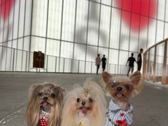 -深圳湾万象城(南山店)