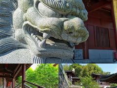 -达蓬山旅游度假区