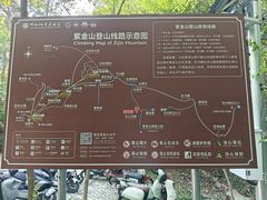 -紫金山山顶公园