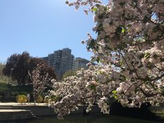 -元大都城垣遗址公园