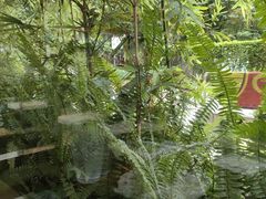 -小西家作(富力爱丁堡店)