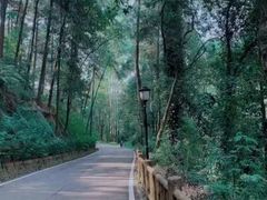 -三门江国家森林公园