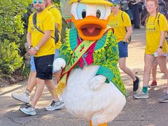 -奥兰多迪士尼动物王国乐园