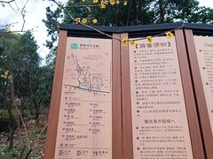 -香雪海