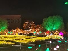 -国际非物质文化遗产博览园