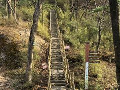 -洛阳白云山景区
