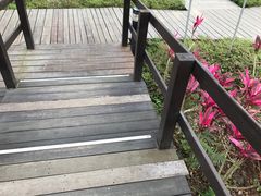 -瑞穗牧场