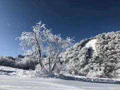 -太子岭滑雪场