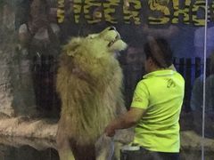 -清迈夜间动物园