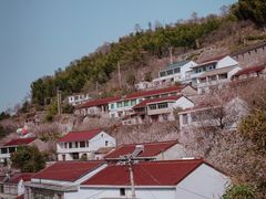 -四明山国家森林公园