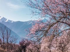 -雅鲁藏布江