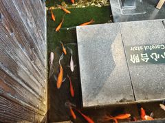 -颐和•海鲜砂锅粥•啫啫煲(奥林匹克广场店)