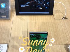 -Sony Store 索尼(上海淮海中路店)