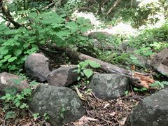 -大蜀山国家森林公园