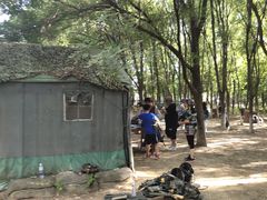-亲兄弟真人CS团建拓展基地