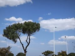 -蟹天蟹地农家菜·阳澄湖大闸蟹(浅水湾店)