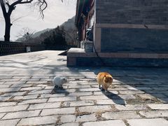 -居庸关长城