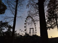 -上海野生动物园