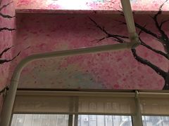 -杭州植得口腔