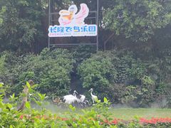 -广州长隆飞鸟乐园