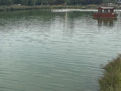 -河北省园博园