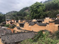 -杨家堂村