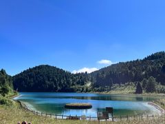 -武陵山森林公园