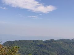 -武陵山森林公园