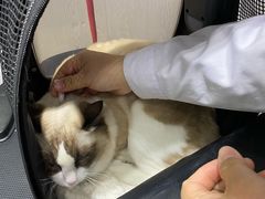 -宠颐生动物医院·小陆分院