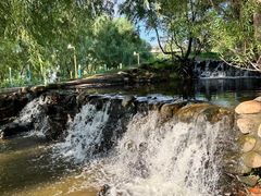 -长白岛森林公园