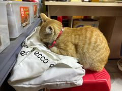 -长平腊味·潮汕特产